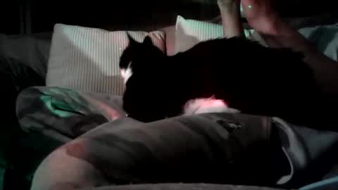 mastrdebator online show from 11-05-25, 09:59