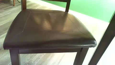 Snapshot of masturbater584277 chatting on 07-10-26, 12:30 masturbater584277 online show from 07-10-26, 12:30