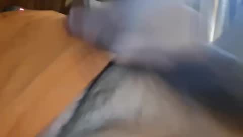 masturbator469658 online show from 01-13-26, 05:29