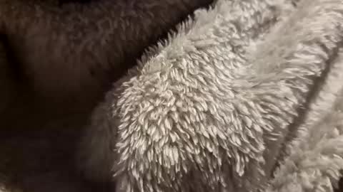 mattca80 online show from 10-04-25, 02:53