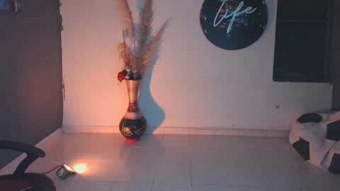 mattias     online show from 01-24-25, 02:07