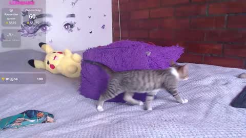 Mature liaa online show from 11-19-25, 03:34