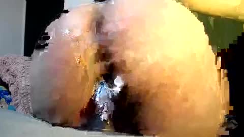 cata online show from 12-06-24, 05:31