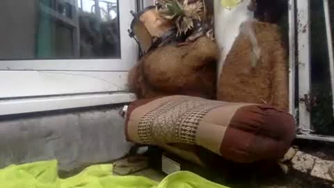 matureman1234 online show from 10-29-25, 10:06