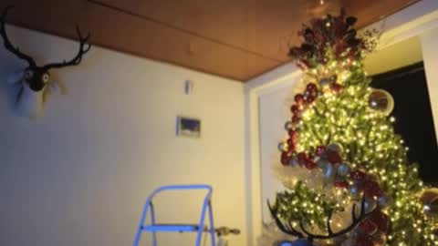 Sebastian online show from 12-03-24, 11:57