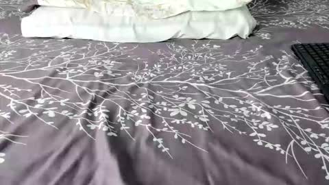 Maybelline69 online show from 02-06-26, 08:45