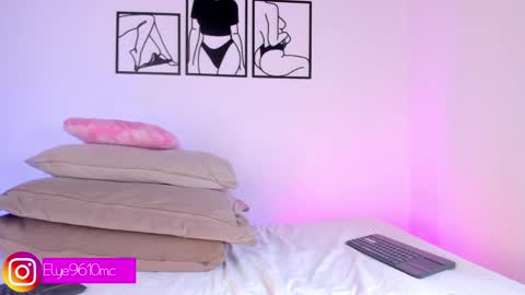 Snapshot of mcdonald_ellie chatting on 04-27-26, 08:07 Ellie online show from 04-27-26, 08:07