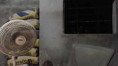 Mcgregor online show from 10-22-25, 02:56