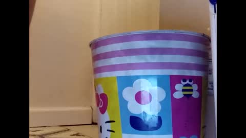 Snapshot of meaderd740870 chatting on 01-23-25, 04:19 meaderd740870 online show from 01-23-25, 04:19