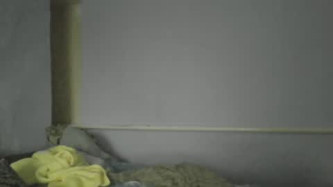 Oltereodora-lima online show from 12-30-24, 01:14