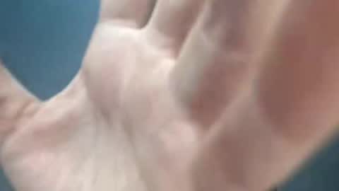 Megan and sophi online show from 03-05-26, 02:07