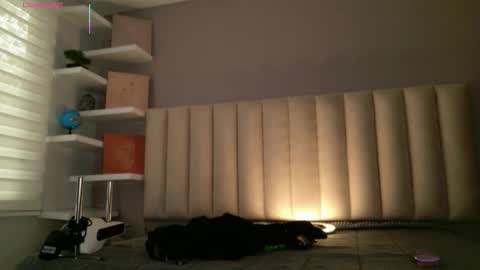     online show from 02-10-26, 01:04