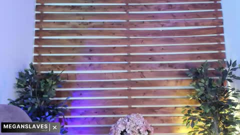 Snapshot of megan_raiin chatting on 11-18-25, 08:41 megan_raiin online show from 11-18-25, 08:41