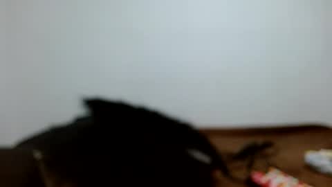 Snapshot of meganharry chatting on 07-12-26, 02:24 meganharry online show from 07-12-26, 02:24