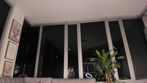 Mara online show from 01-31-25, 10:42