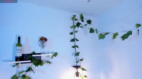 Snapshot of melanieecox chatting on 07-14-26, 01:08 Melanie online show from 07-14-26, 01:08