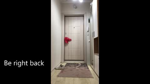 Snapshot of melina_beauty chatting on 02-25-26, 09:08 Melina online show from 02-25-26, 09:08