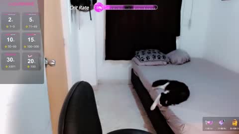 Melissas Corner online show from 01-19-25, 06:00