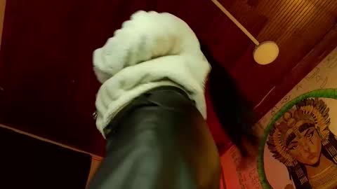 Snapshot of melissa_dolce chatting on 01-16-26, 10:58 michell online show from 01-16-26, 10:58