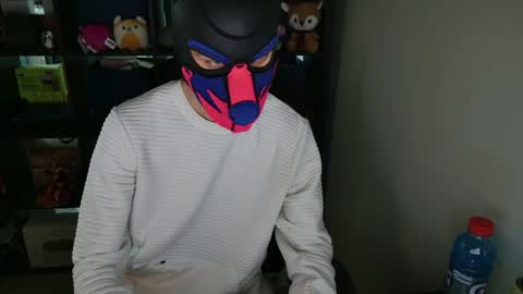 Snapshot of mellpup chatting on 04-05-26, 01:14 MellPUP online show from 04-05-26, 01:14