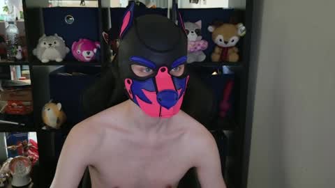 Snapshot of mellpup chatting on 04-29-26, 06:36 MellPUP online show from 04-29-26, 06:36