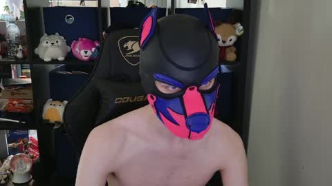 Snapshot of mellpup chatting on 04-30-26, 06:03 MellPUP online show from 04-30-26, 06:03