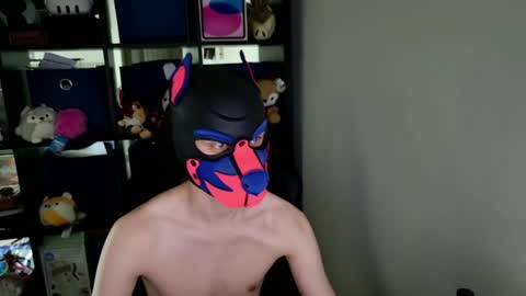 Snapshot of mellpup chatting on 05-26-26, 03:41 MellPUP online show from 05-26-26, 03:41