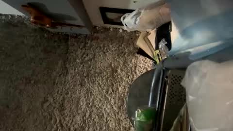 melodysnow online show from 01-08-26, 12:40