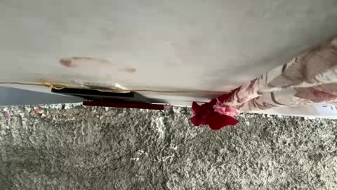 melodysnow online show from 01-10-26, 06:31