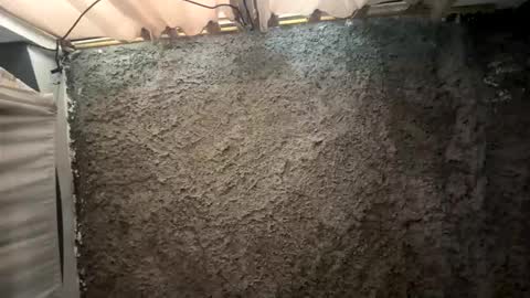 melodysnow online show from 01-15-26, 06:11