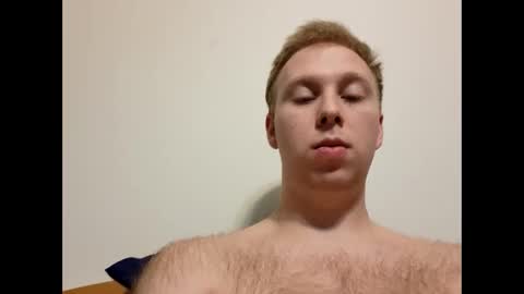 meow732 online show from 10-21-25, 10:43