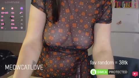 Snapshot of meowcatlove chatting on 01-26-25, 11:08 meowcatlove online show from 01-26-25, 11:08