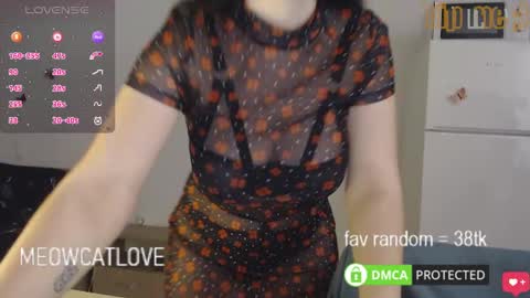 Snapshot of meowcatlove chatting on 01-29-25, 08:14 meowcatlove online show from 01-29-25, 08:14