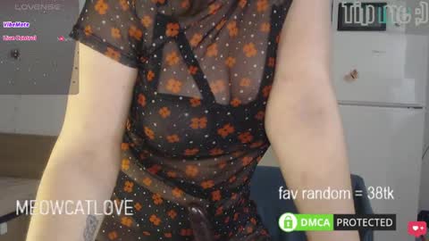 Snapshot of meowcatlove chatting on 03-04-25, 07:43 meowcatlove online show from 03-04-25, 07:43