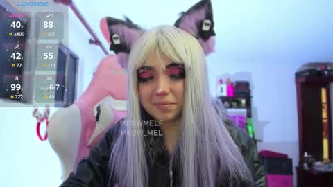 meowmelf online show from 01-13-26, 07:41