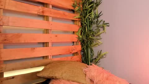 Merida  online show from 01-24-25, 04:06