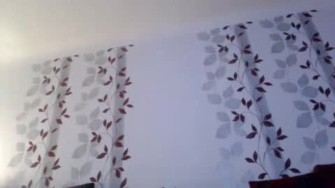 Snapshot of metallbuddy chatting on 01-12-25, 09:40 ask me online show from 01-12-25, 09:40