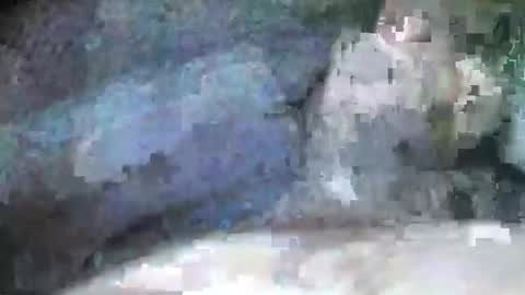 mexianthehawk online show from 09-28-25, 09:09