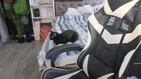 vollmond online show from 02-13-26, 05:36