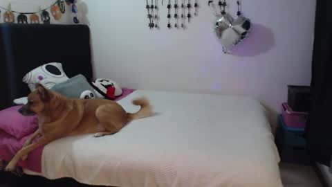 mia online show from 02-03-26, 10:59