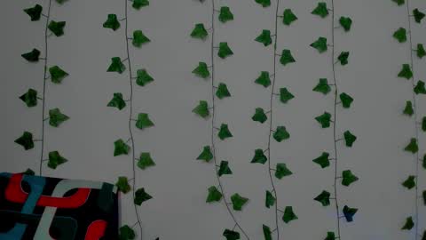 MIA online show from 12-17-25, 09:54