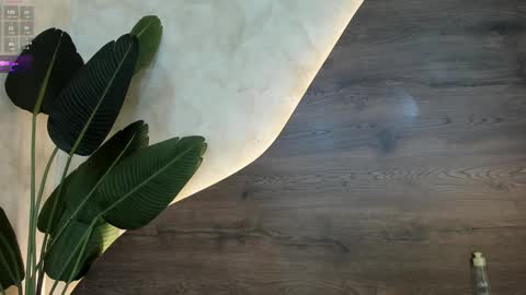 mia_lacy online show from 01-30-25, 01:55