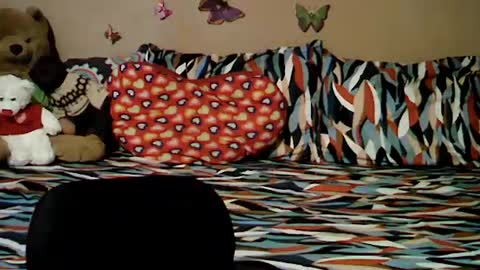 Snapshot of mia_rein chatting on 06-26-26, 06:29 mia_rein online show from 06-26-26, 06:29