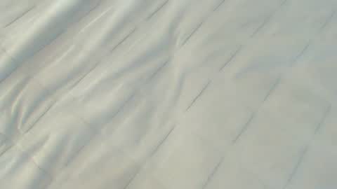 Lemma online show from 06-12-26, 09:41