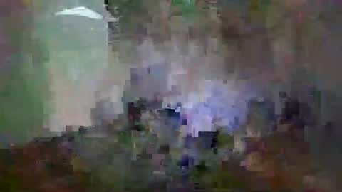 Snapshot of miagomezx chatting on 02-14-26, 12:02 miagomezx online show from 02-14-26, 12:02