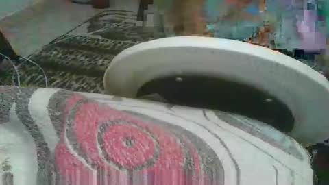 Snapshot of miagomezx chatting on 02-17-26, 04:42 miagomezx online show from 02-17-26, 04:42