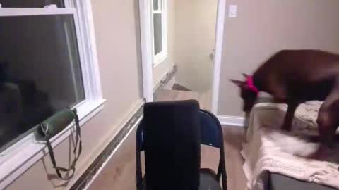 Snapshot of miamak chatting on 12-20-25, 02:07 miamak online show from 12-20-25, 02:07