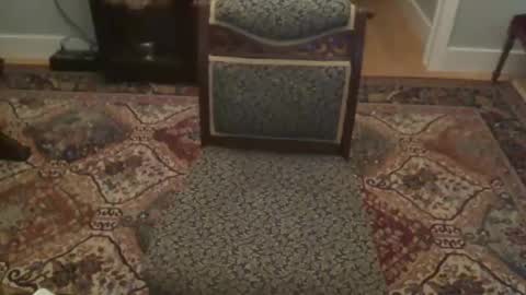 Snapshot of miamiwrestler chatting on 12-22-25, 02:41 miamiwrestler online show from 12-22-25, 02:41