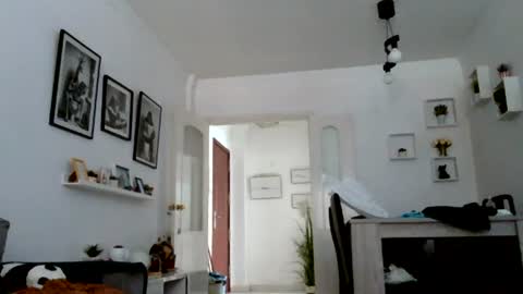MILO MIAMI online show from 07-14-26, 05:18
