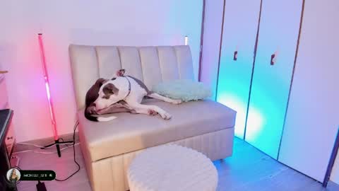 Michelle online show from 04-15-26, 09:59